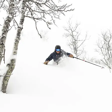 Chalet Exclusive By The Slopes In Hemsedal